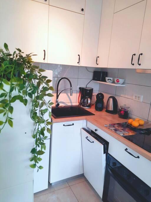 Apartman Nane Salona Kültér fotó